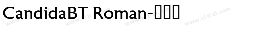 CandidaBT Roman字体转换